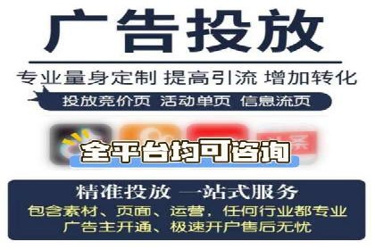百度竞价排名案例分享：广告投放的技巧与误区